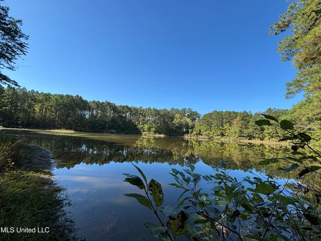 $1,500,315 | 0 Ms-9, Mathiston, MS 39752