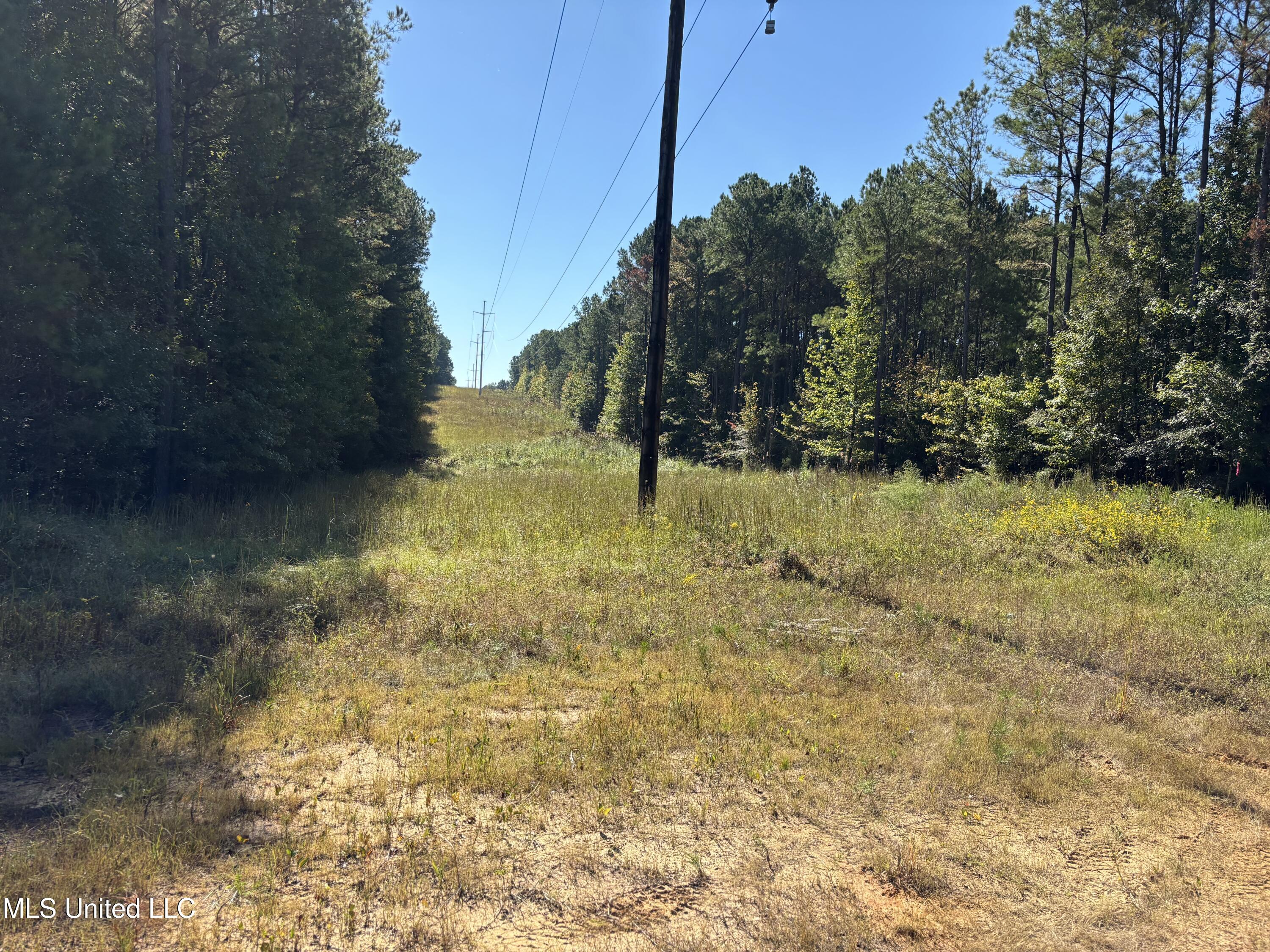 0 Ms-9 Mathiston, MS 39752 - Photo 9 of 19 IMG_0010