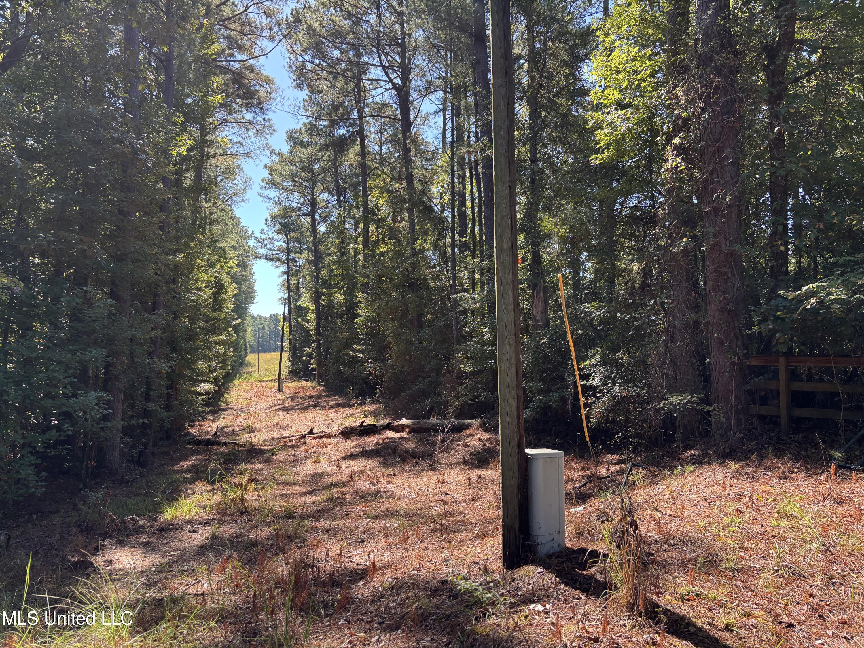 0 Ms-9 Mathiston, MS 39752 - Photo 10 of 19 IMG_0026