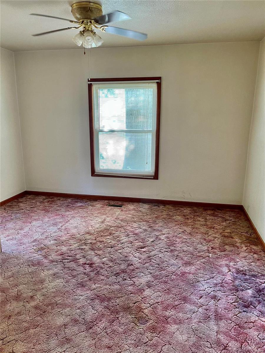 121 Kansas Street Worden, IL 62097 - Photo 6 of 12 Gallery Image 6