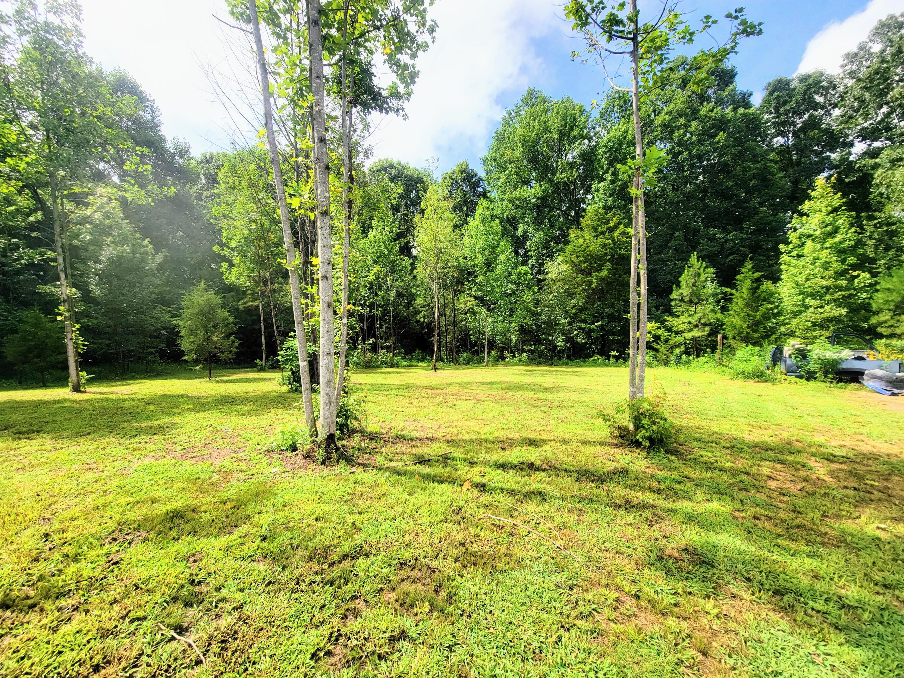 1670 County Road 50 Riceville, TN 37370 - Photo 11 of 15 20230719_162850