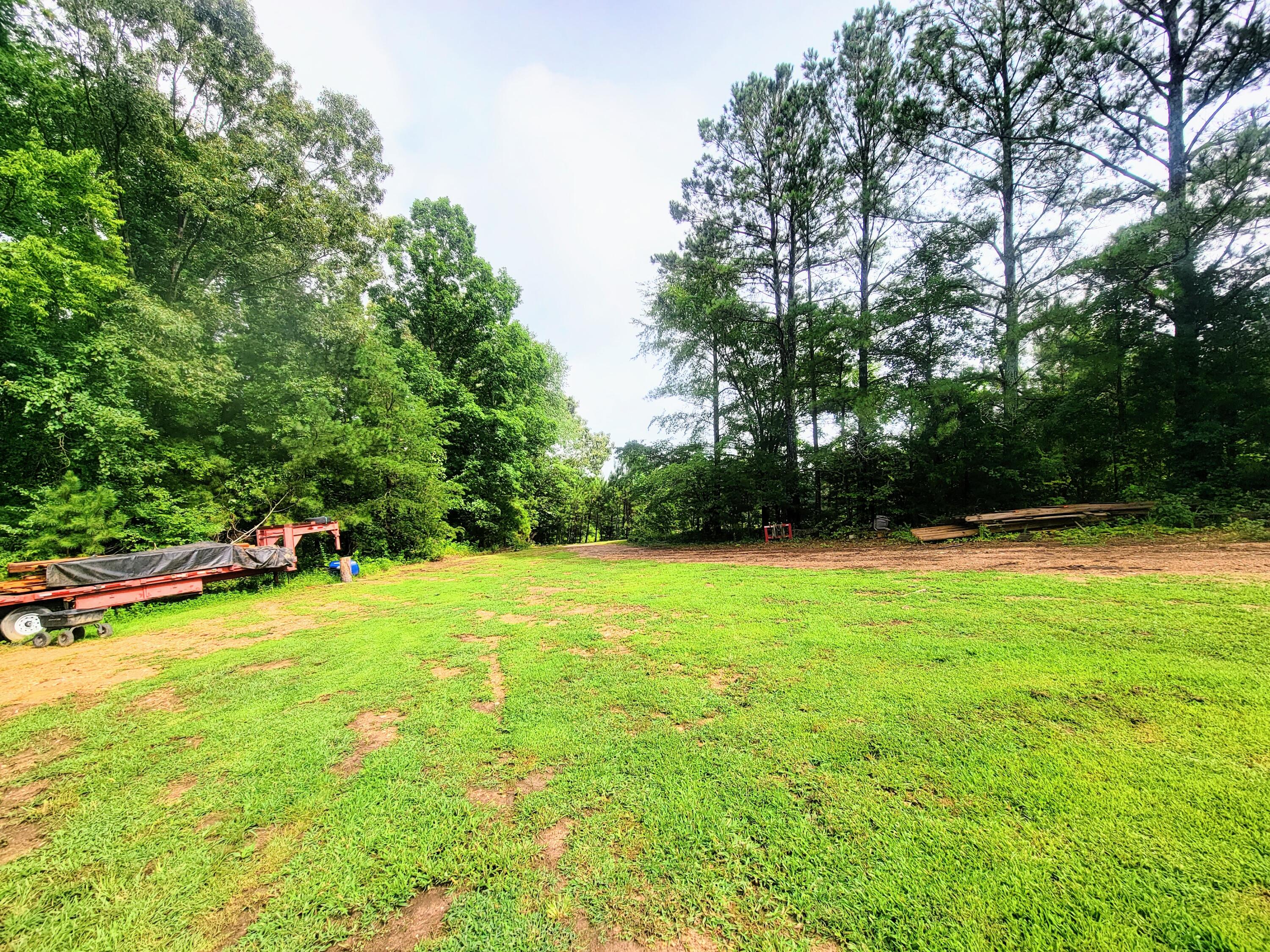 1670 County Road 50 Riceville, TN 37370 - Photo 13 of 15 20230719_163026