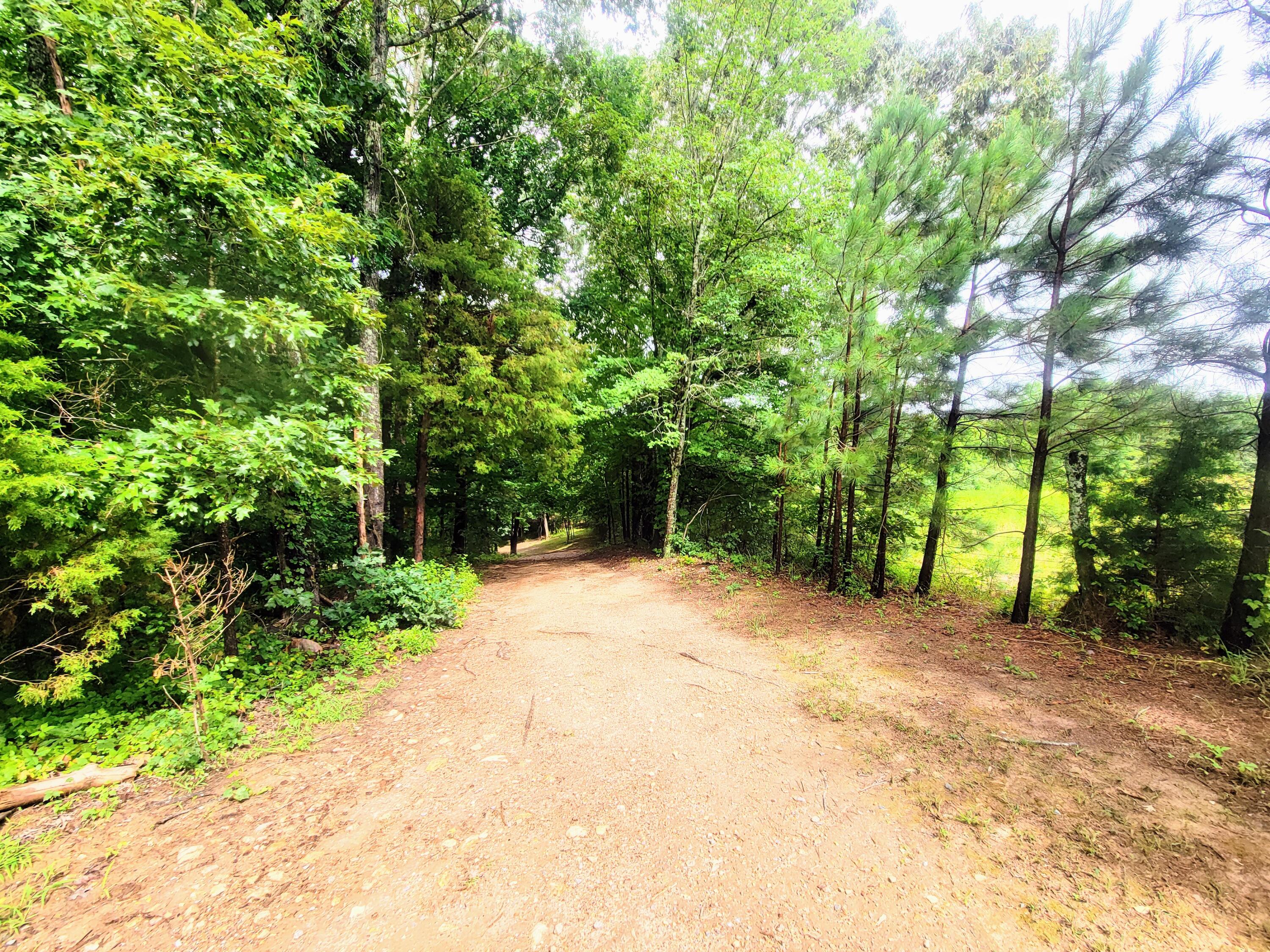 1670 County Road 50 Riceville, TN 37370 - Photo 14 of 15 20230719_163108