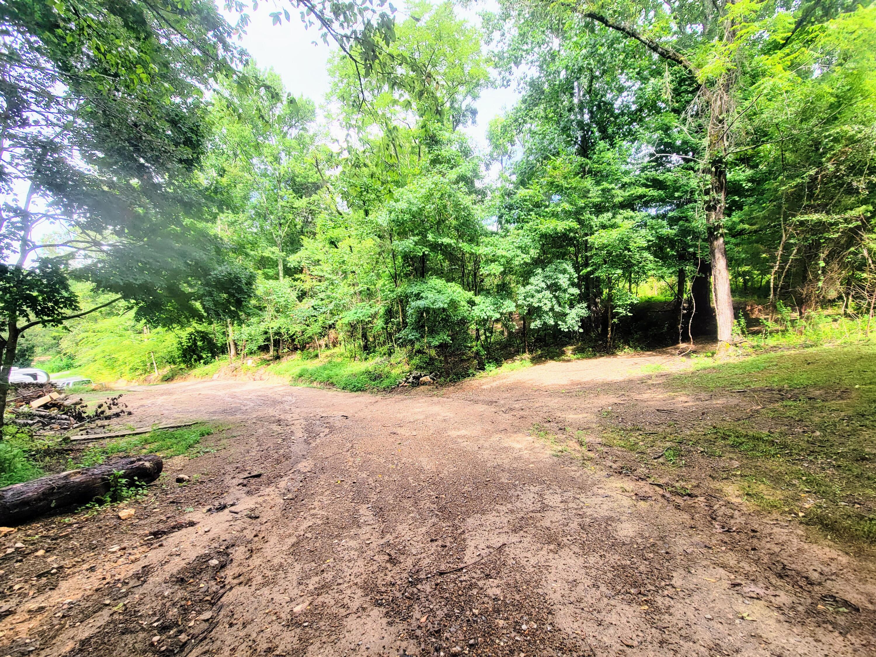 1670 County Road 50 Riceville, TN 37370 - Photo 15 of 15 20230719_163225