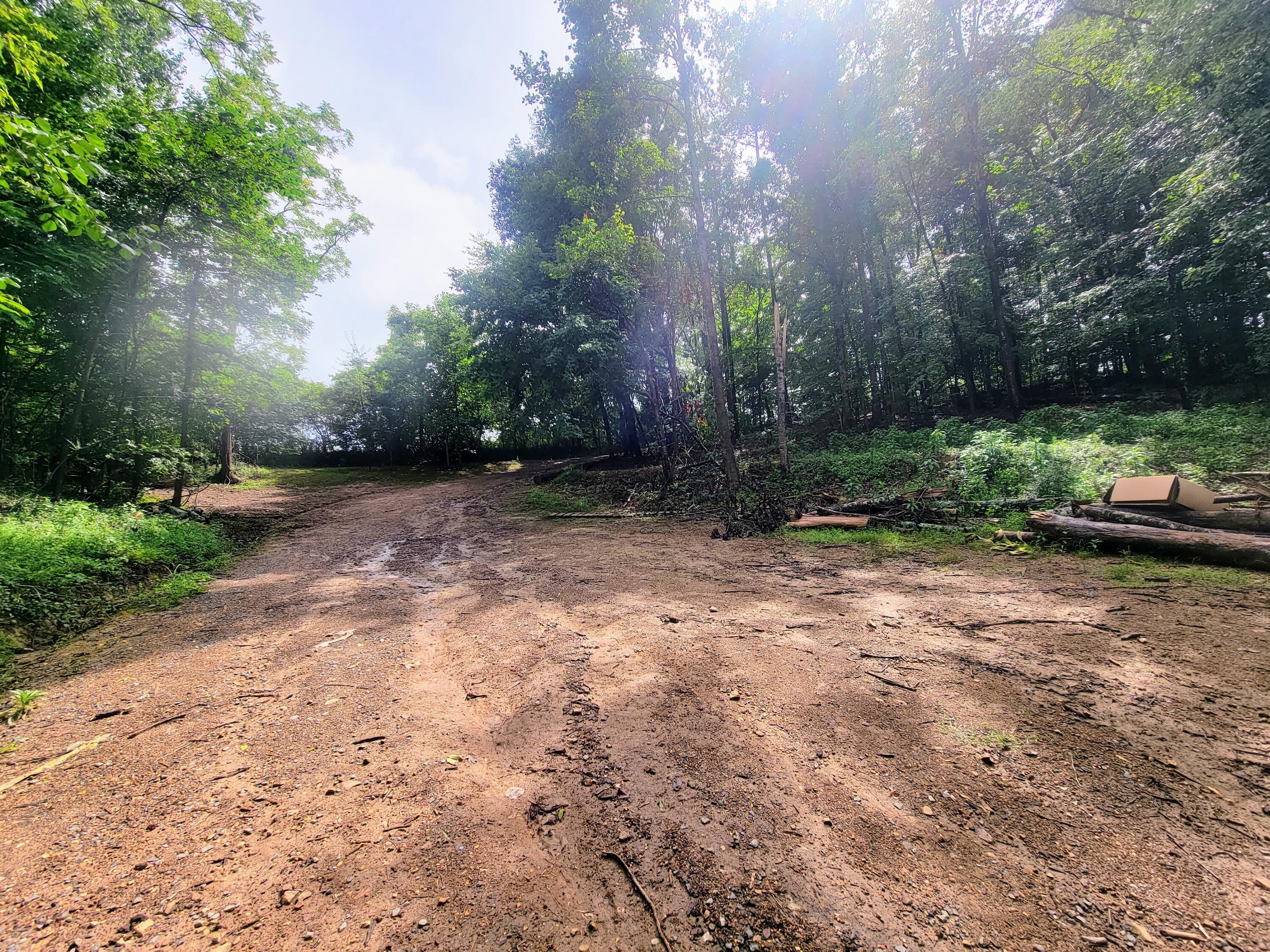 1670 County Road 50 Riceville, TN 37370 - Photo 5 of 15 20230719_162345