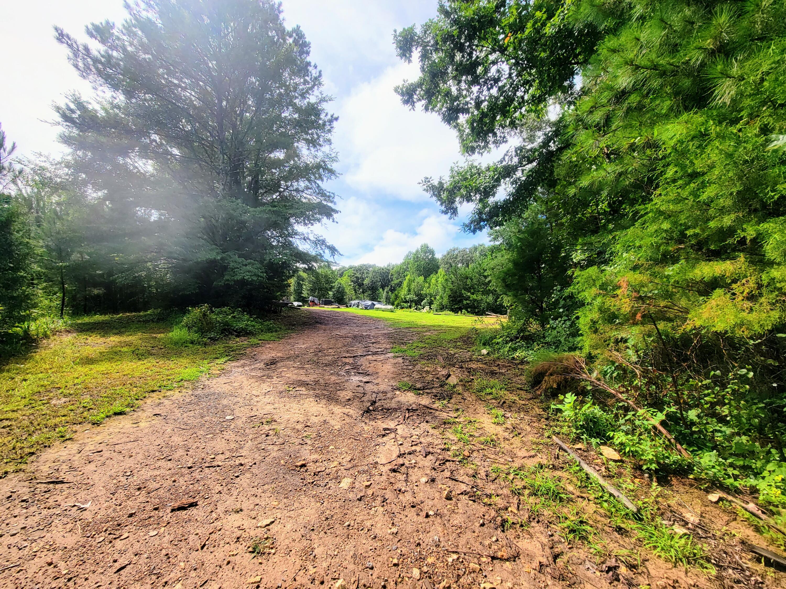 1670 County Road 50 Riceville, TN 37370 - Photo 6 of 15 20230719_162533