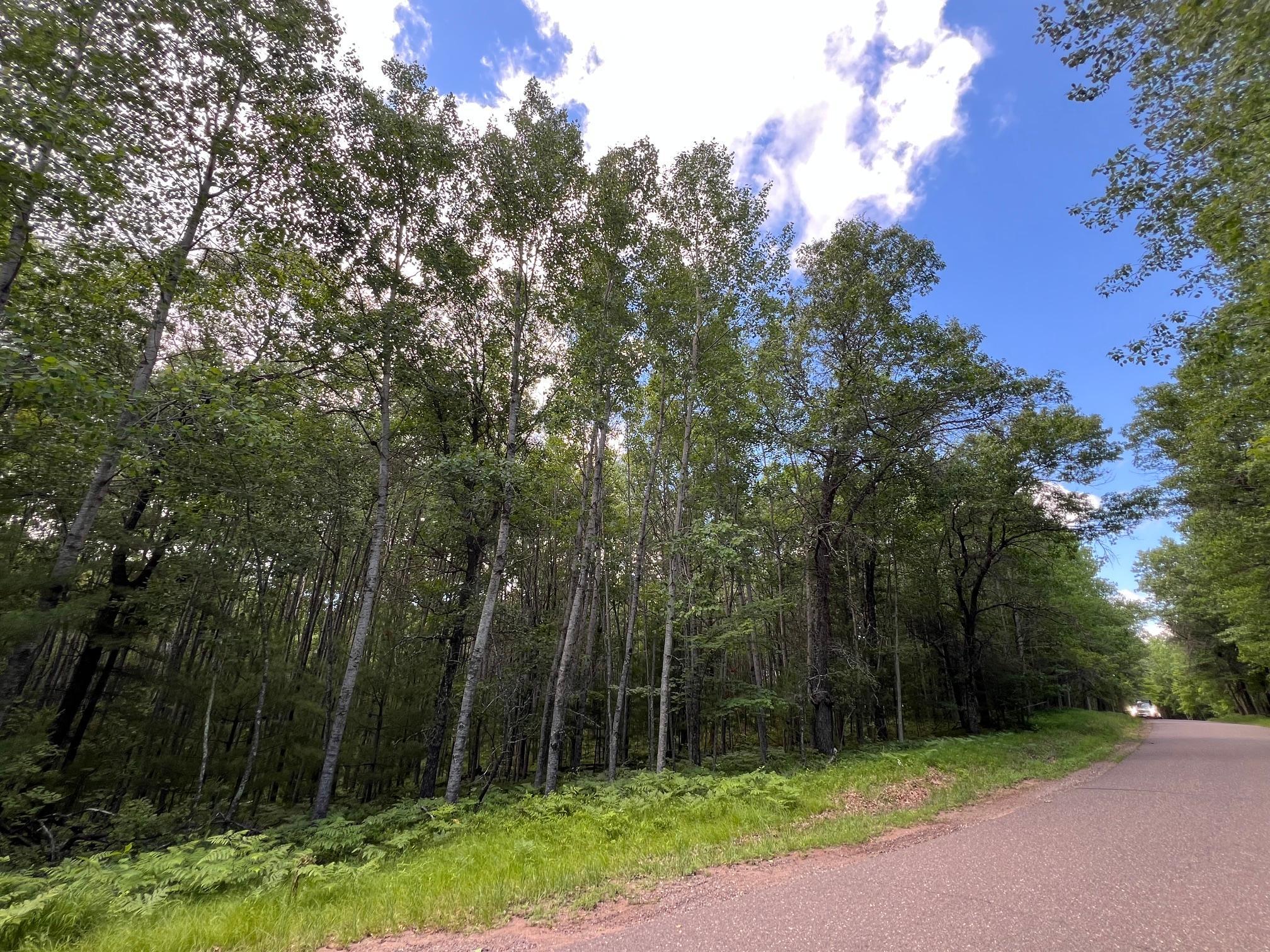 Lot 14 Loon Lake Road Danbury, WI 54830 - Photo 15 of 16