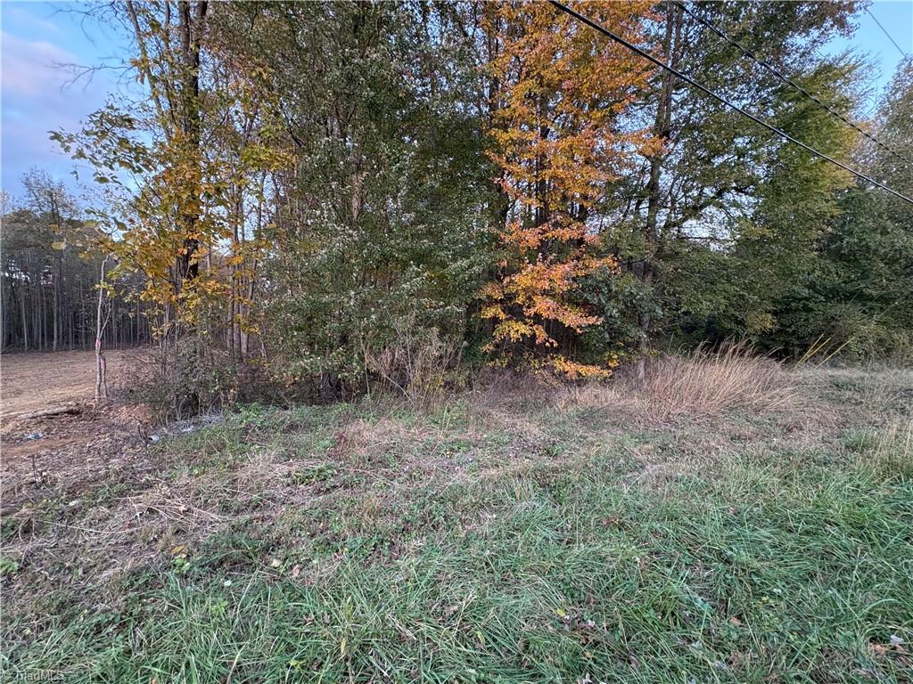 0 Davis Country Road Randleman, NC 27317 - Photo 1 of 4 Gallery Image 1