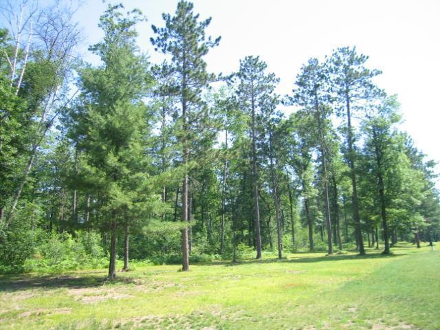 20 Schlising Road Tomahawk, WI 54487 - Photo 11 of 16 Gallery Image 11