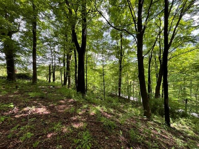 4448-4450 Hollow Road Wampum, PA 16157 - Photo 6 of 9 a view of outdoor space and green space