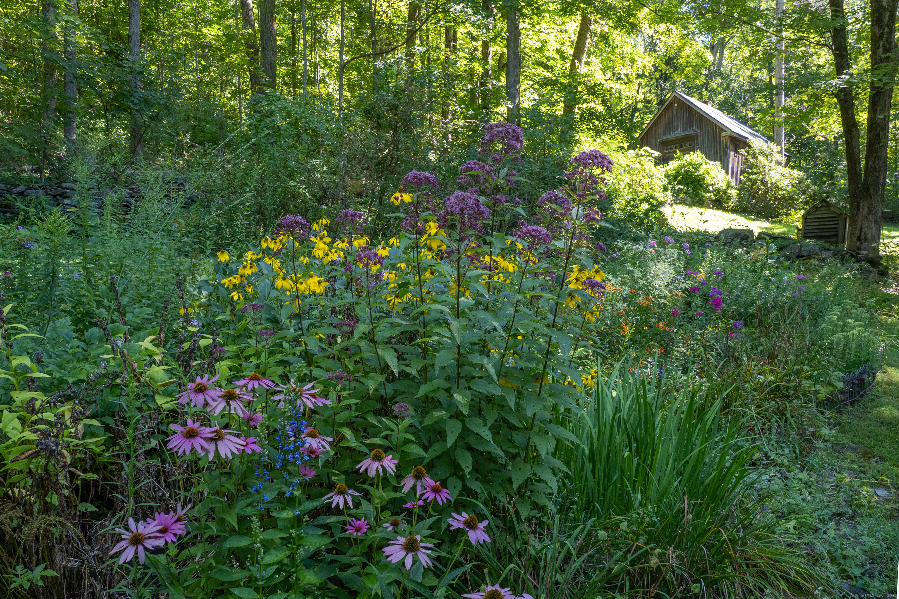 143 Whitcomb Hill Road Cornwall, CT 06754 - Photo 3 of 40 a view of a flower in a garden