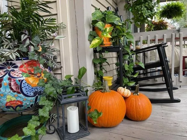 $369,000 | 1949 West Birchwood Avenue, Unit 2, Chicago, IL 60626