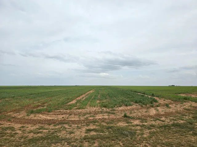 a view of a big room with a houses