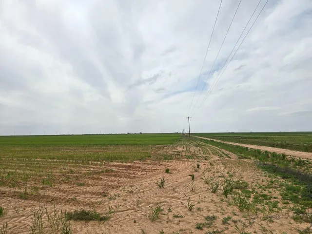 a view of an ocean and beach