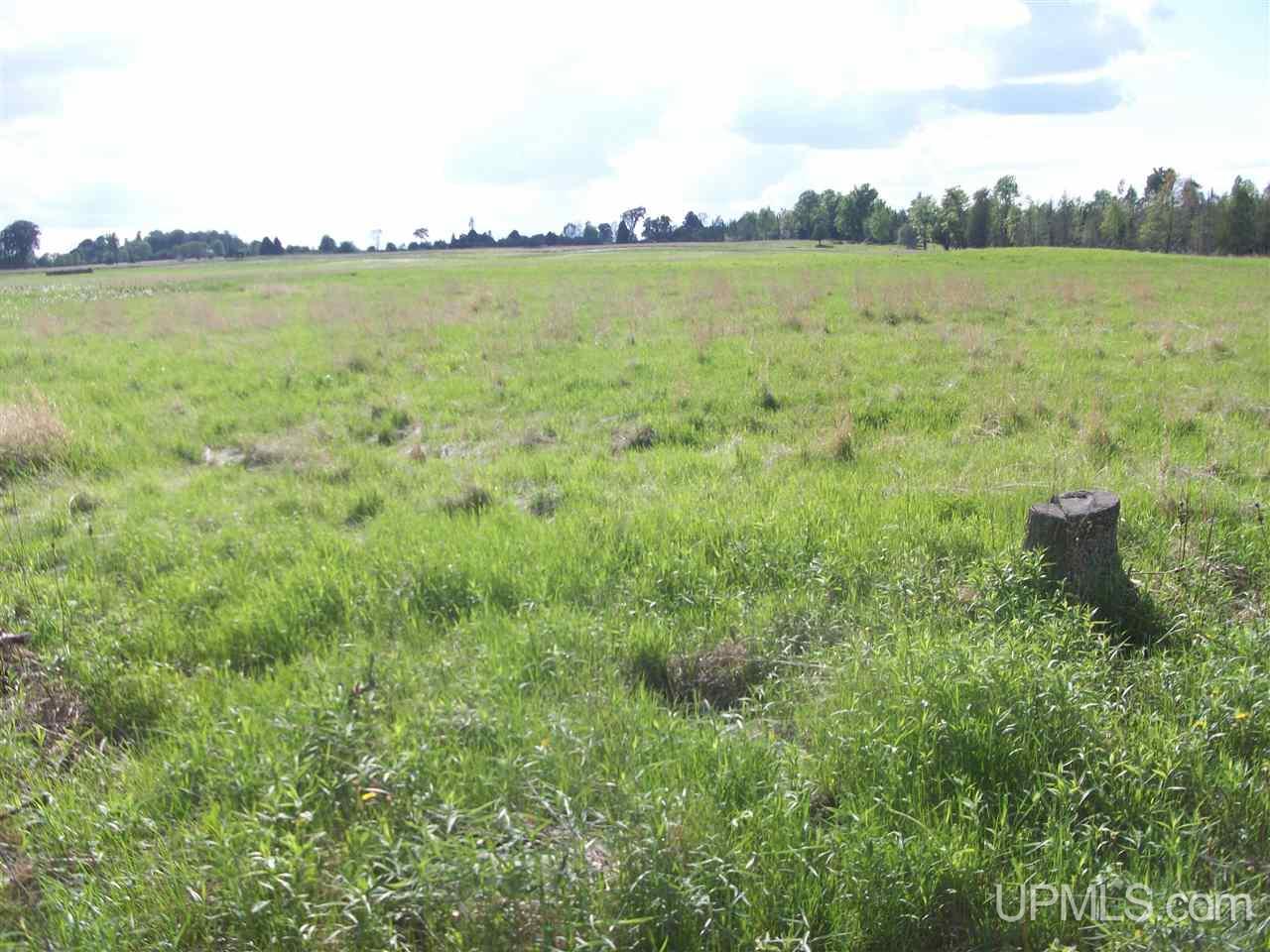 Tbd Co Rd 426 & River Road Cornell, MI 49818 - Photo 3 of 15