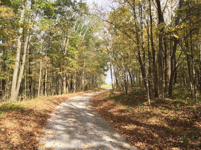 9250 Napoleon-Zion Station Road Dry Ridge, KY 41035 - Photo 3 of 7