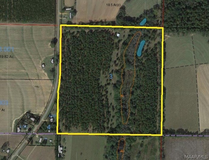 40-acres Austin Road Black, AL 36314 - Photo 4 of 28 Gallery Image 4