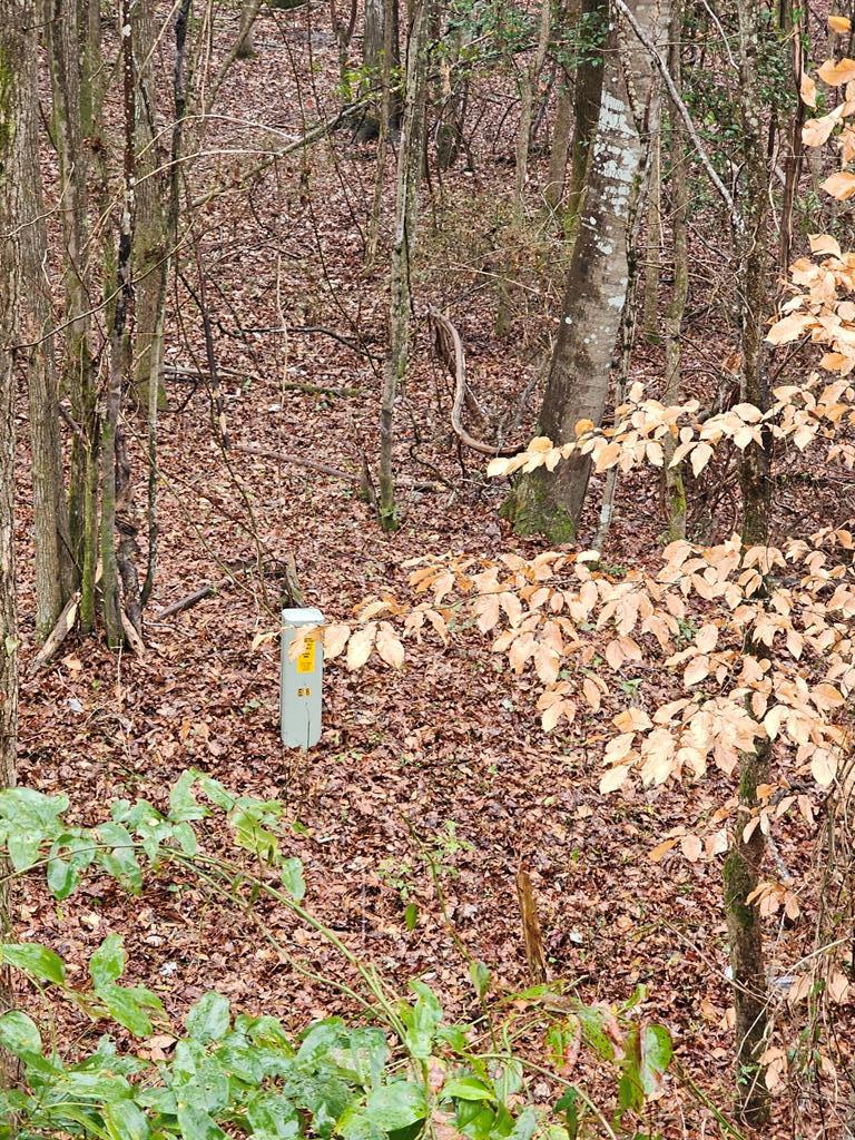 0 Buckner Road Junction City, GA 31812 - Photo 9 of 14 Gallery Image 9