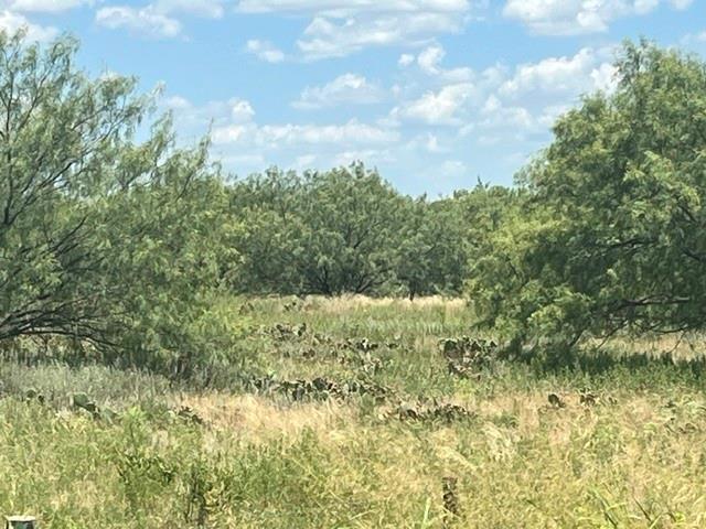 3417 State Highway Graham, TX 76450 - Photo 14 of 17