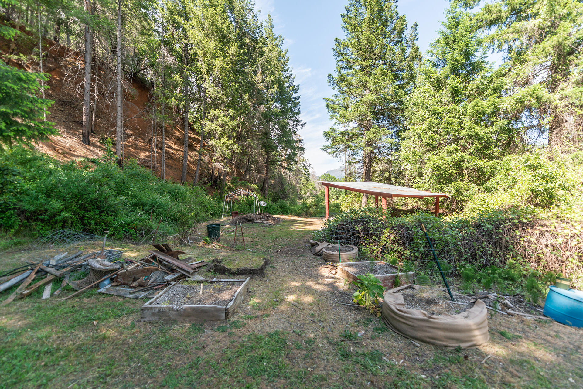 2940 Dutch Creek Road Junction City, CA 96048 - Photo 15 of 63 a view of a backyard with plants and a patio
