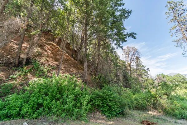 $250,000 | 2940 Dutch Creek Road, Junction City, CA 96048