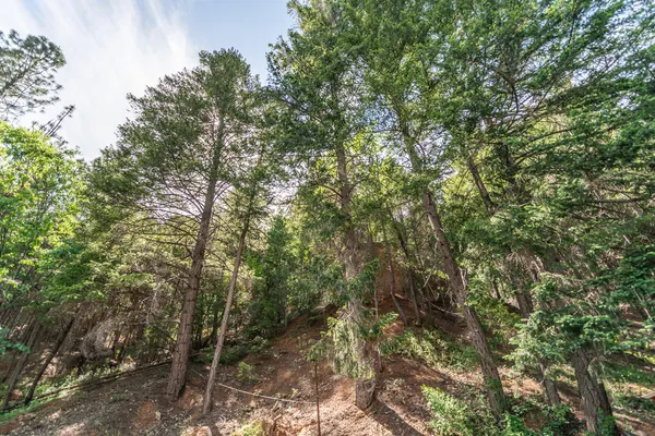 $250,000 | 2940 Dutch Creek Road, Junction City, CA 96048