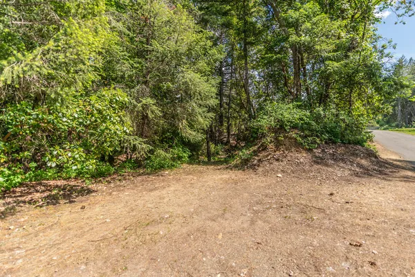$250,000 | 2940 Dutch Creek Road, Junction City, CA 96048