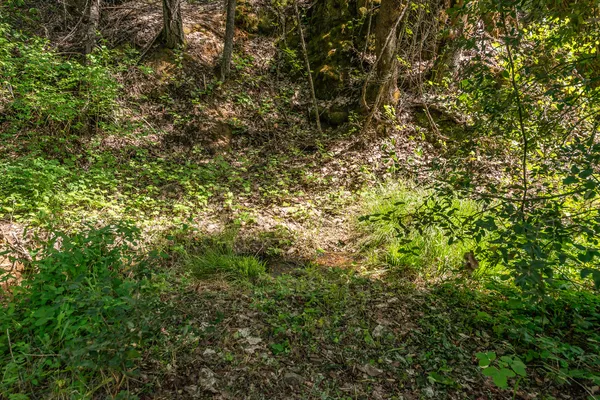 $250,000 | 2940 Dutch Creek Road, Junction City, CA 96048