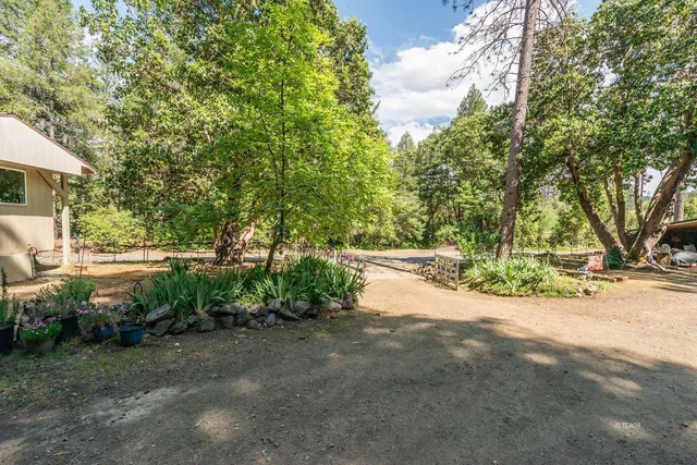 a view of a yard with a tree