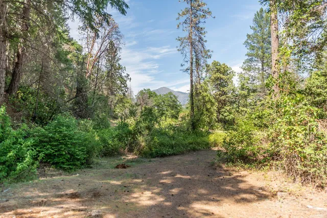 a view of backyard with wooden fence and a bench
