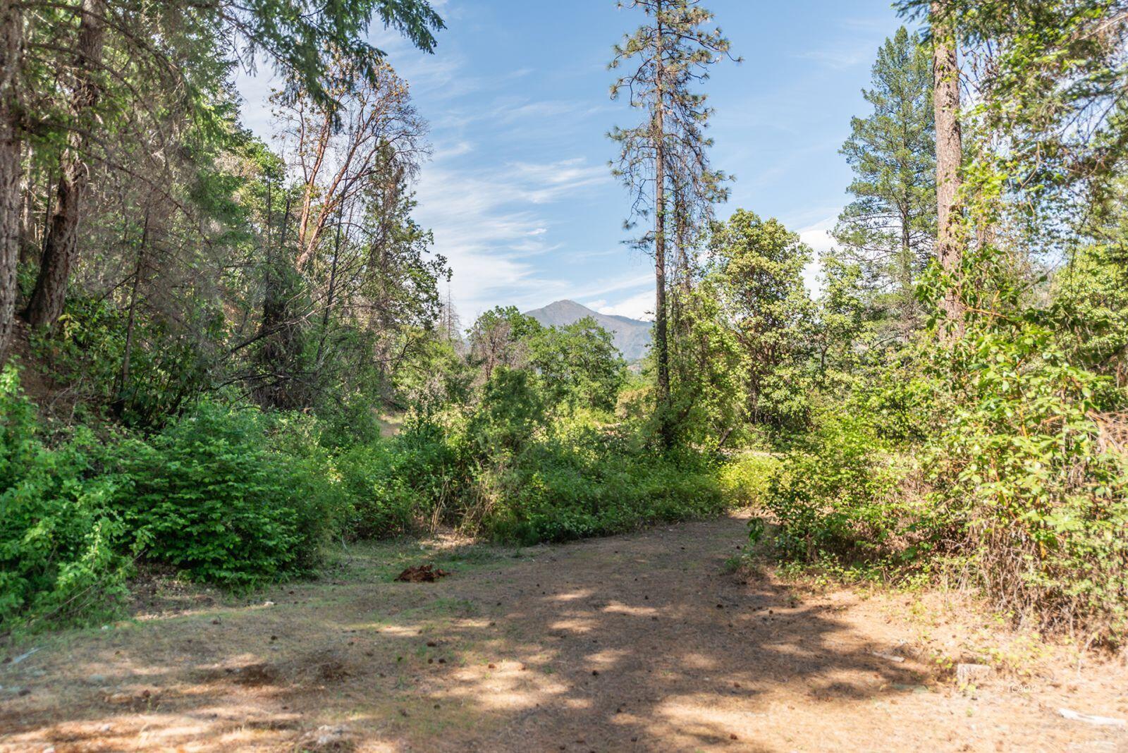 2940 Dutch Creek Road Junction City, CA 96048 - Photo 37 of 47 a view of a yard with plants and trees