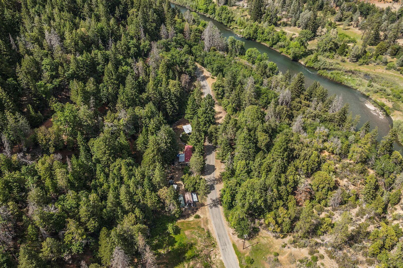 2940 Dutch Creek Road Junction City, CA 96048 - Photo 41 of 47 a view of a forest with a tree