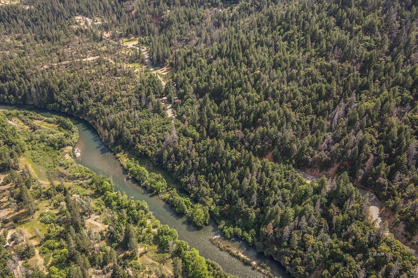 2940 Dutch Creek Road Junction City, CA 96048 - Photo 43 of 47 a view of a yard with plants and wooden bench