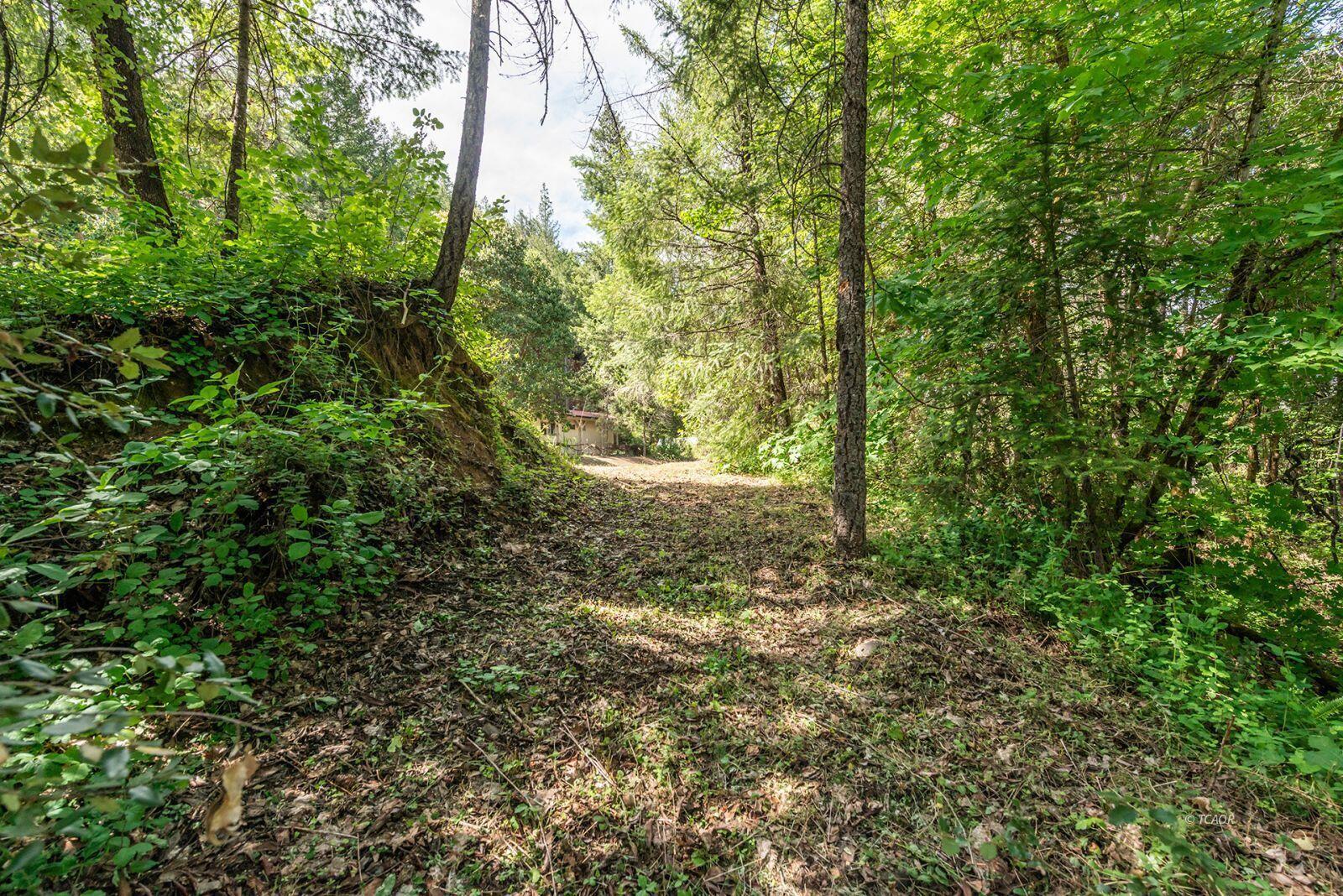 2940 Dutch Creek Road Junction City, CA 96048 - Photo 46 of 47 a view of a yard with plants and trees