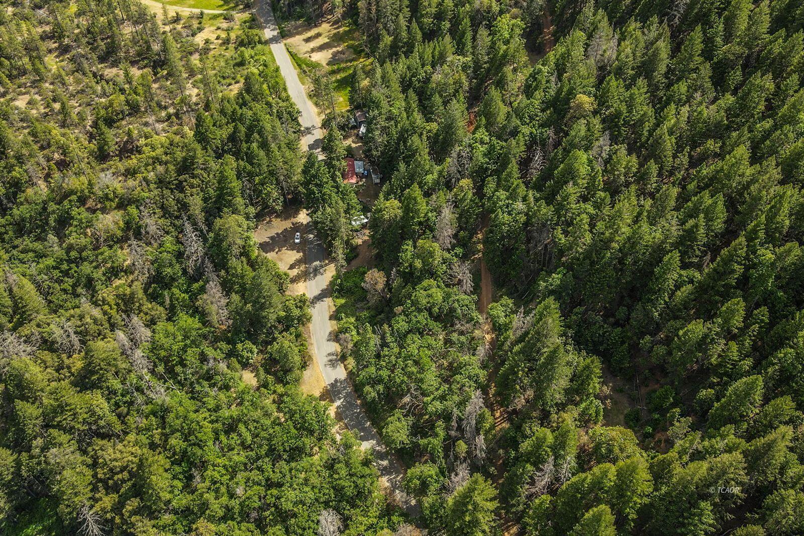 2940 Dutch Creek Road Junction City, CA 96048 - Photo 47 of 47 a view of a tree