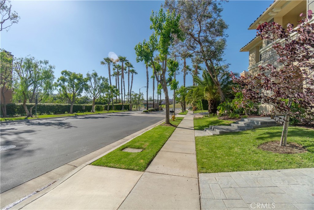583 Ruth Circle Corona, CA 92879 - Photo 68 of 74 a view of a park with plants and trees