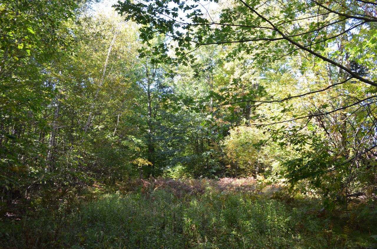 Near Harmony Road Brantwood, WI 54513 - Photo 15 of 23 Gallery Image 15