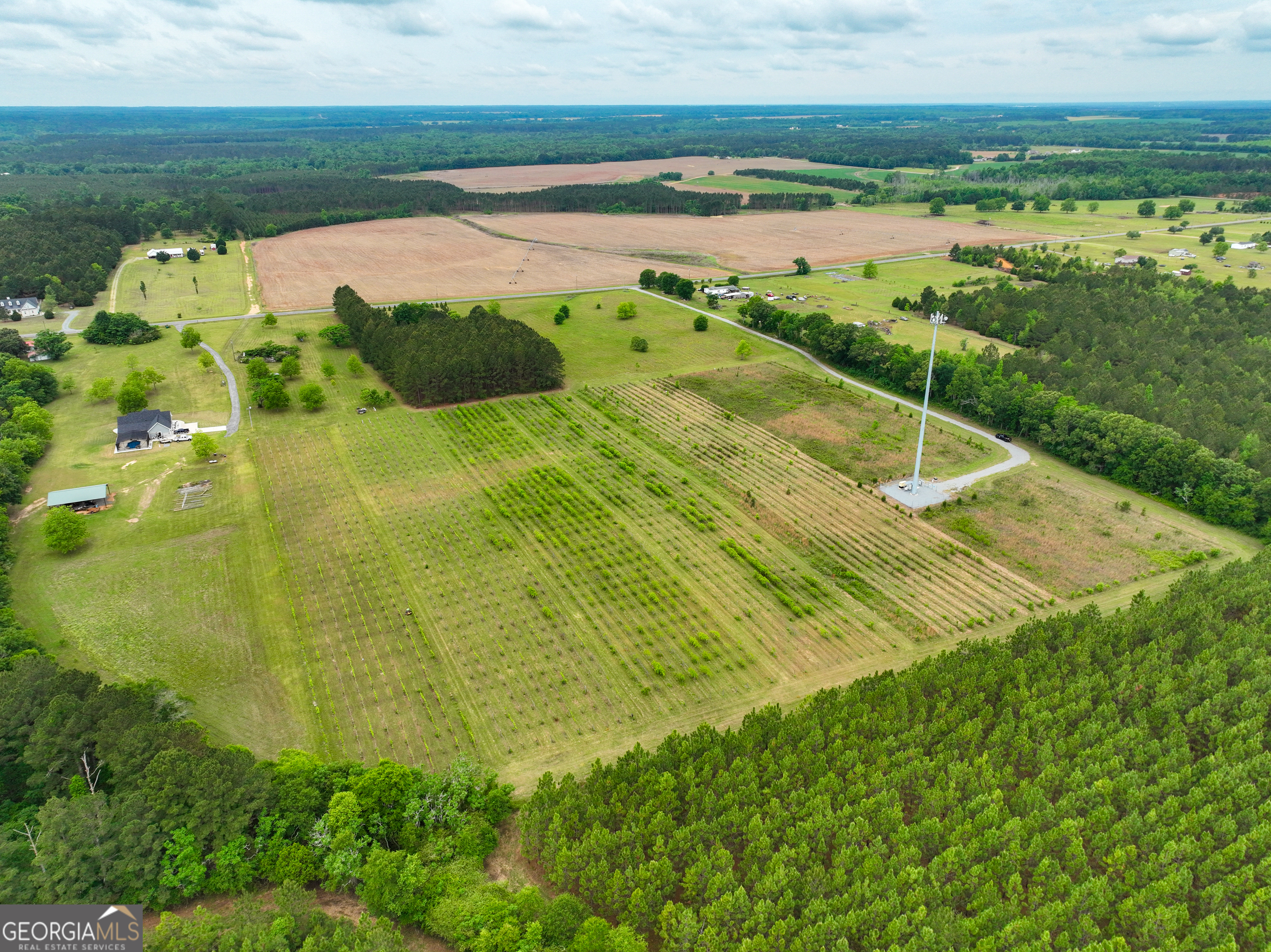 759 Pitts Road Hawkinsville, GA 31036 - Photo 7 of 15 Gallery Image 7