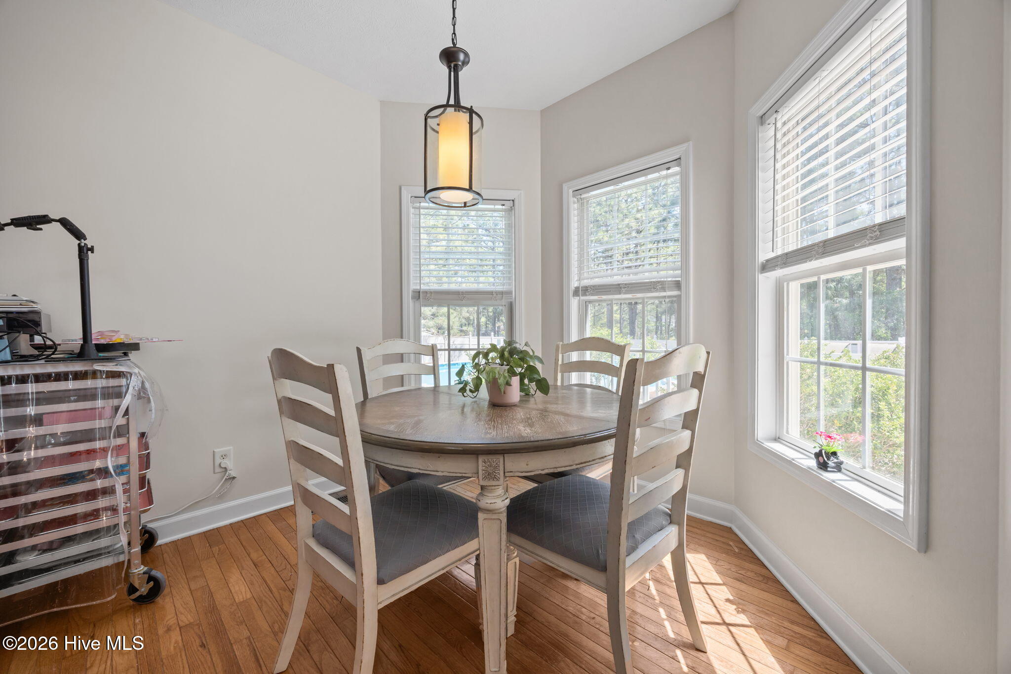 107 Perkins Lane Pinebluff, NC 28373 - Photo 16 of 41 40-web-or-mls-IMG_6253