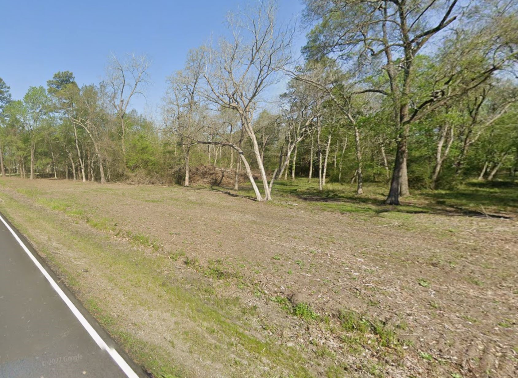3113 Grace Lane Highlands, TX 77562 - Photo 3 of 10 a view of outdoor space with trees