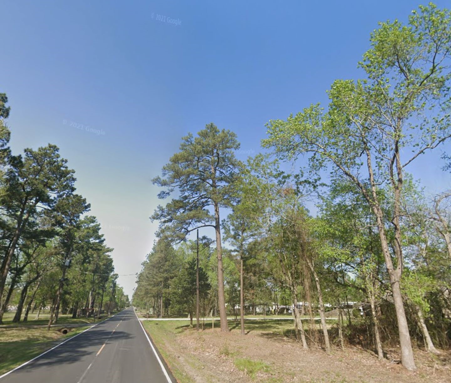 3113 Grace Lane Highlands, TX 77562 - Photo 4 of 10 a view of a outdoor space