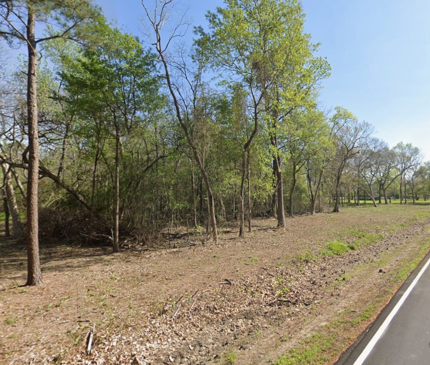 3113 Grace Lane Highlands, TX 77562 - Photo 5 of 10 a view of a forest filled with trees