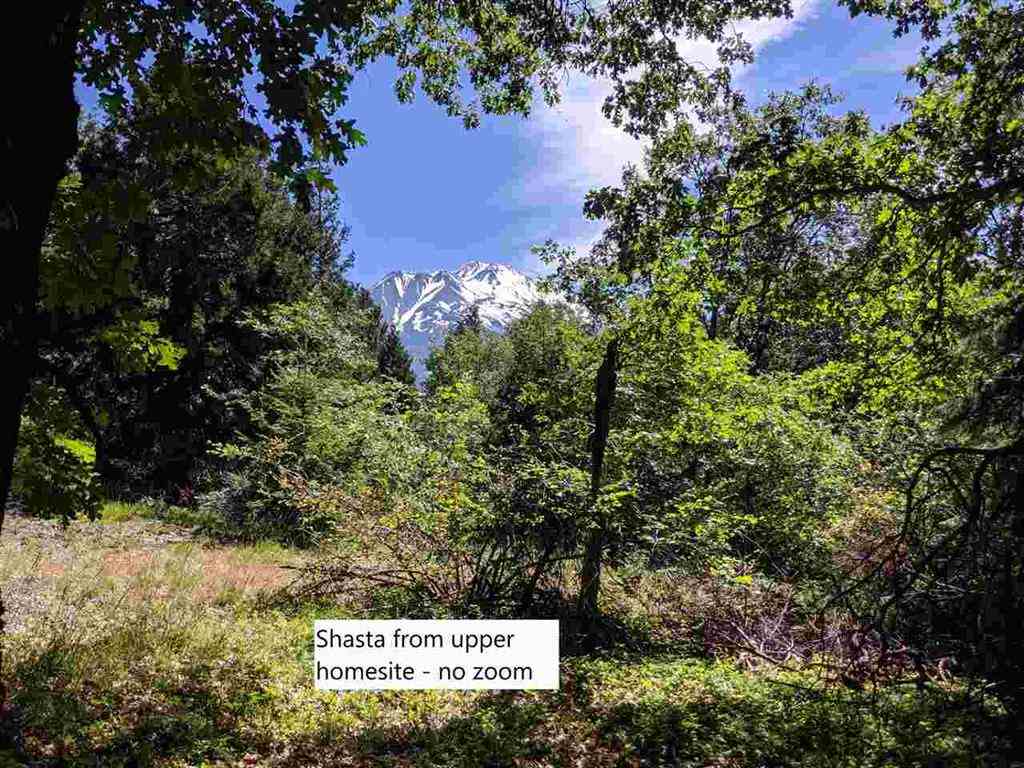 3 Deetz Road Rd Mount Mount Shasta, CA 96067 - Photo 12 of 37 Gallery Image 12