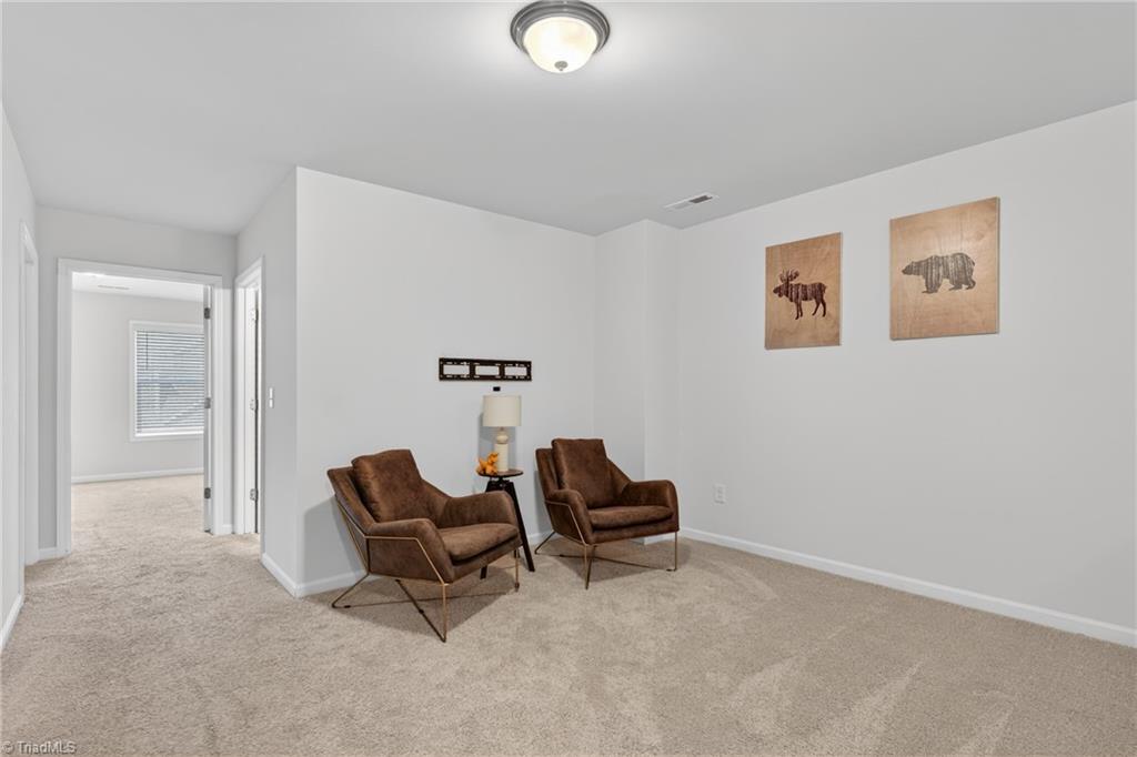 30 Finley Ridge Way Greensboro, NC 27455 - Photo 25 of 47