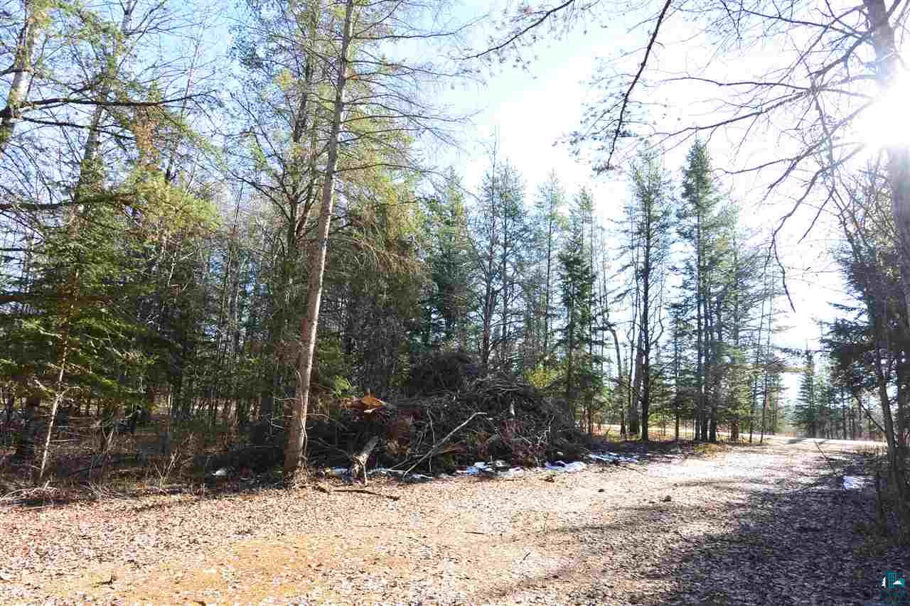 9917 Hayes Road Mountain Iron, MN 55768 - Photo 10 of 23 Gallery Image 10