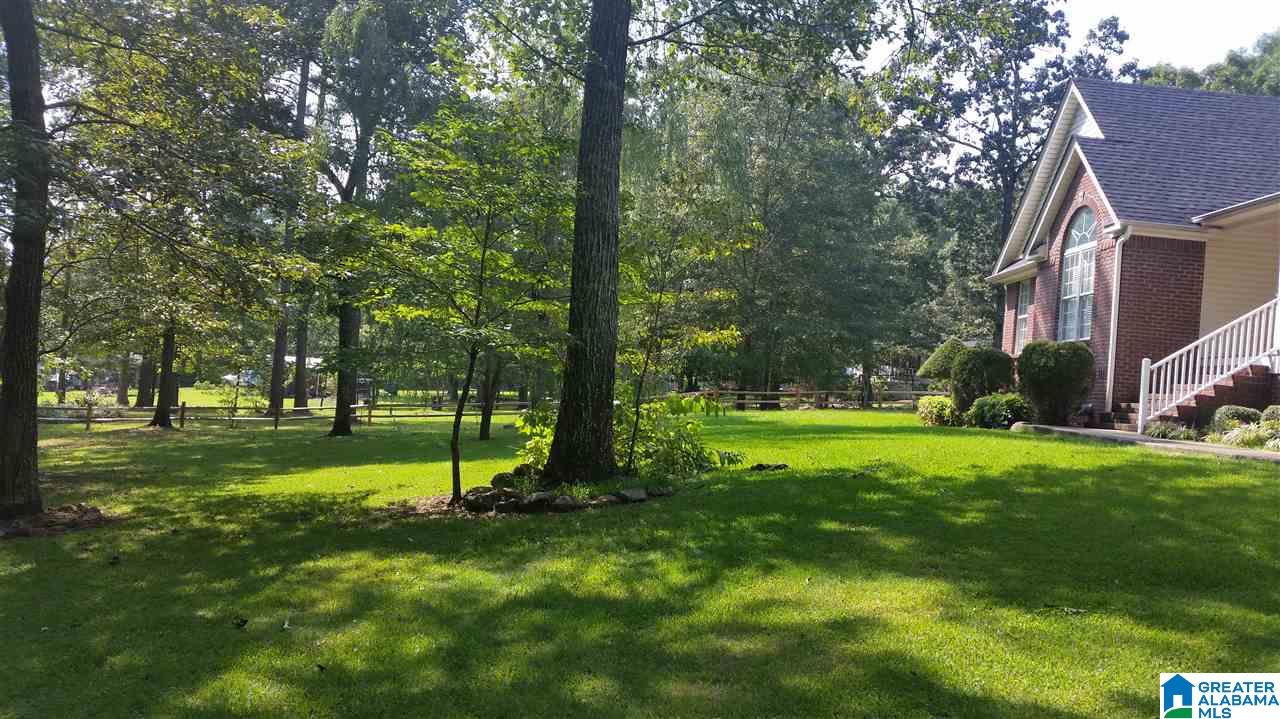 877 Oak Grove Road Springville, AL 35146 - Photo 3 of 23