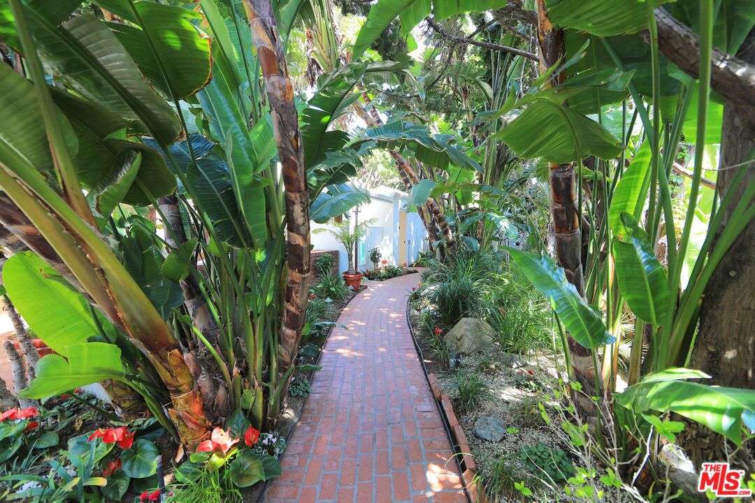 31008 Broad Beach Road Malibu, CA 90265 - Photo 28 of 40 a view of a pathway with plants