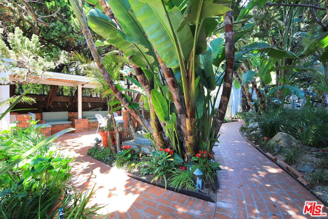 31008 Broad Beach Road Malibu, CA 90265 - Photo 29 of 40 a view of a garden with pathway