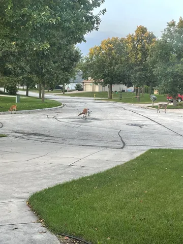 $524,555 | 1940 Renaissance Court, Green Bay, WI 54313