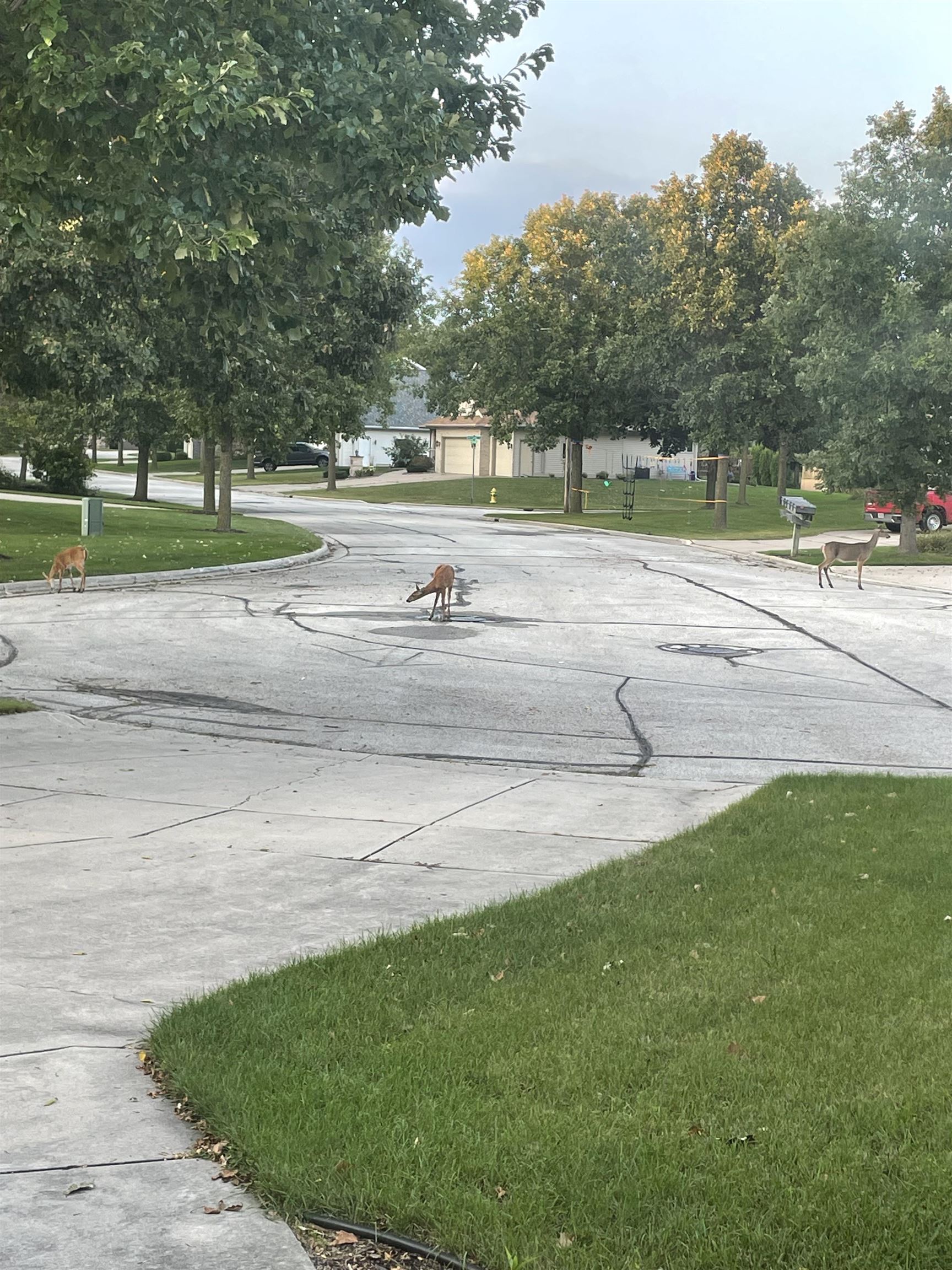 1940 Renaissance Court Green Bay, WI 54313 - Photo 48 of 49